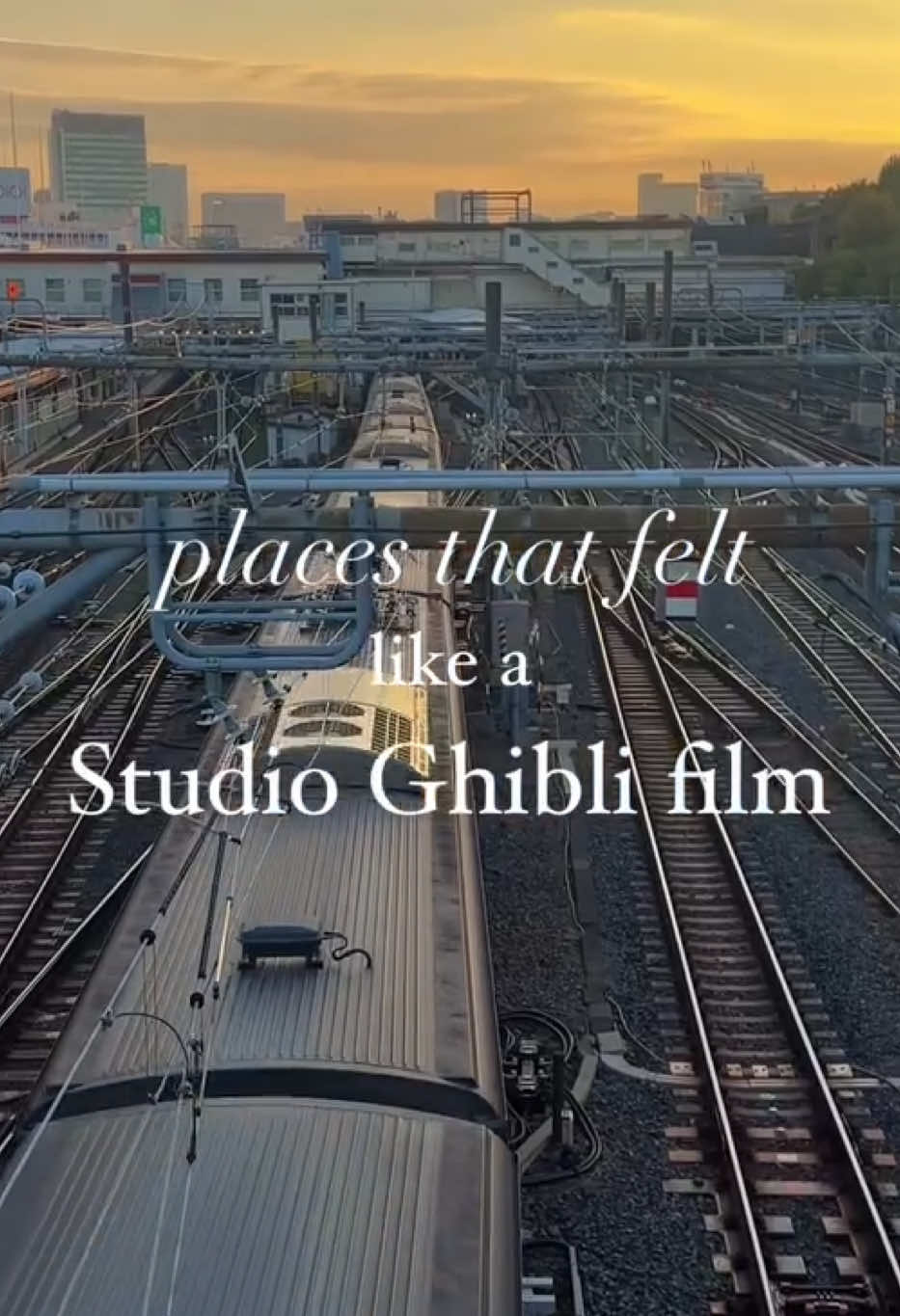 Since Studio Ghibli has been the theme this week, here are some places in Japan that reminded me of scenes straight out of a Miyazaki film: •Waterways/Bridges: Gujo Hachiman •Koi Pond: Tsurugaoka Hachimangu Shrine in Kamakura •Fluffy (Fuwafuwa) Trees: Okinawa •Indoor Sleeping Area: Jakkou-an Lodge rental in Kamakura • Indoor View of a Garden: Art and Hotel Kimura in Gujo Hachiman •Walking Trails Near Shrines: Gujo Hachiman •Trains Near eno Park: Taito City #studioghibliplaces #familythingstodoinjapan #parksinjapan #japantravel #familyjapantrip