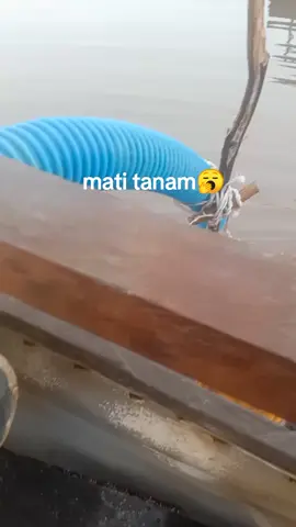 🥱#ftp #bangkabelitung 