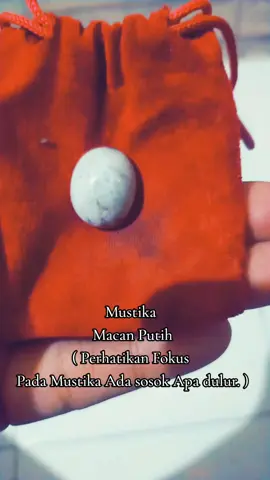 Siap Pindah Tuan..ke Tuan Yg Tepat... Silakan. #viral?tiktok🥰  #mustika  #khodampendamping  #khodamleluhur  #salamrahayu🙏🙏  #pusokojowo 