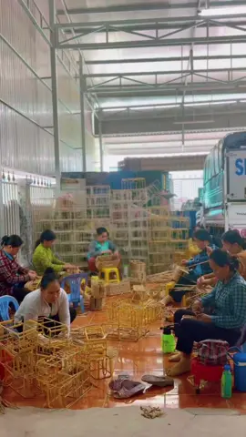 Nghề đan lục bình tại cơ sở thủ công mỹ nghệ Sen Việt  #lucbinh #tuicoi #mynghesenviet #tuilucbinh #xuhuong #handmade #tuixach #xuhuong2024 #danlucbinhmientay #danlucbinh #lotus 