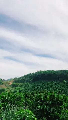 #lâmđồng 🥰🥰