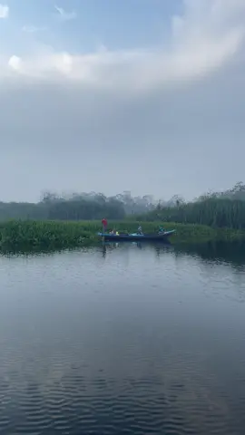 Suasana pagi hari dan keindahan Taman Nasional Zamrud bisa jadi spot mancing ikan dan udang #fyp #fypシ #siak 