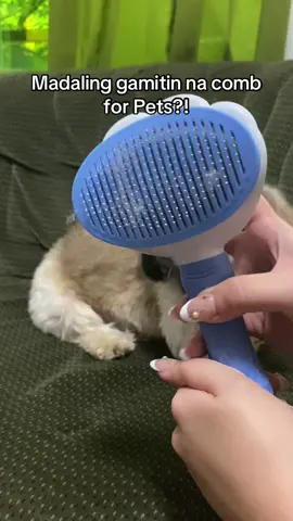 Ang convenient ng hair brush for pet na to😍 #fyp #foryoupage #brushforpets #petgroomingbrush #pets #dogs #petgroomingbrush #shihtzu 