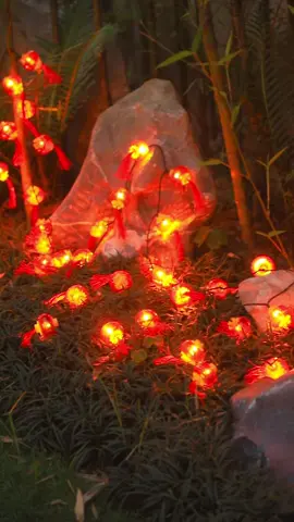 Đèn lồng mini trang trí Tết 2025 . Mua 2 dây được kèm thêm 1 dây đèn nháy fairy đó ahhh 😘 #decor #nickdangdoibung #denlong #denlongtet #dennhaytrangtri #dentrangtri #tet 