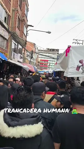 No hay paso 🥵 #animales #navidad #zombies #imoteph #bolivia🇧🇴 #lapaz 