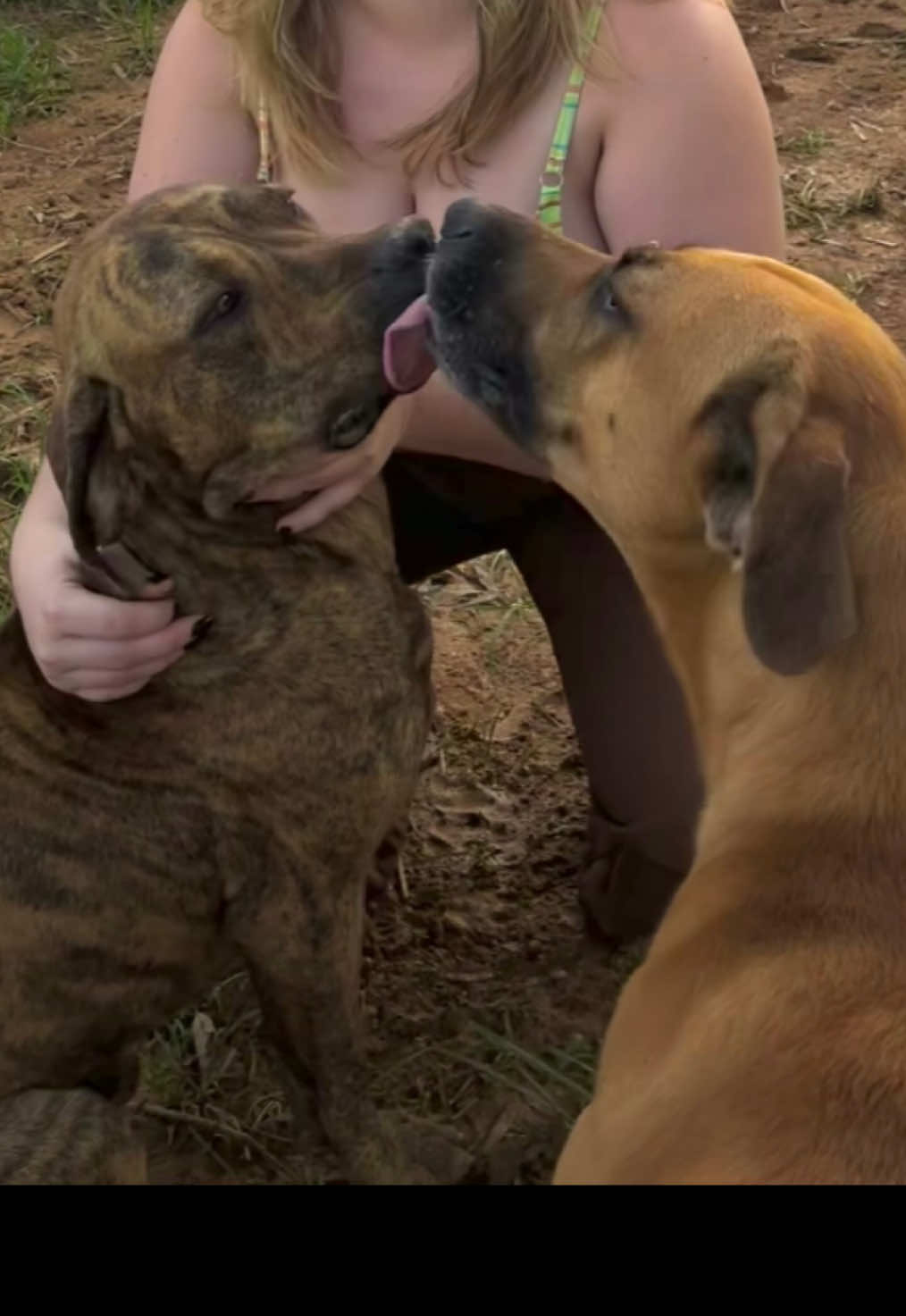 #cahorro #dog #🐶❤️ #roça #videoviral #fil #fouryou 