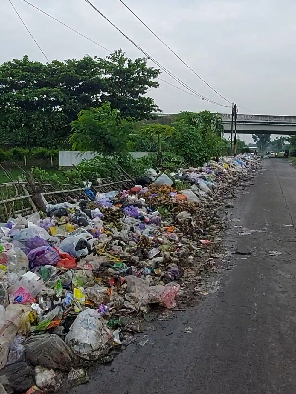Pemalang darurat sampah Pasca penutupan TPA Pesalakan 🙏🙏🙏 #sampah #pemalangdaruratsampah #bersihkansampah #fypage #fypシ゚viral 