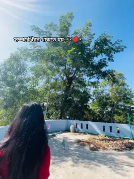 তুমি চাইলেই আমার হয়ে থাকতে পারতা,😅 তুমি চাইলেই সব ঠিক হইতো, তুমি চাইলে আমি এতো কষ্ট হয়তো এখন পেতাম না, ☺️ তুমিও তো বলতে আমায় ভালোবাসো, তাহলে কেমনি থাকো না কথা বলে তাহলে কেমনি পারছো আমার এই ভাবে কষ্ট দিতে, আমি তো তোমায় চাই তোমায় ভালোবাসি তুমি কি তা বুঝো না?☺️❤️‍🩹  #foryoupage #bdbangladash🇧🇩🇧🇩💕 #fpyシviral #foryou #bithu 