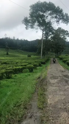 pohokeun sejenak sgla macam storan,fokus nikmati 3 poe liburan hola dulur2☺😄#Tukangabrag #Tukangacamp #Tukangagares #Katanahideung #CapCut 