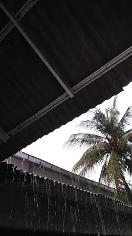 Monggo mentahan video hujan pagi hari #bismillahfyp  #kawingmedia  #kawing_media  #mentahan  #hujanpagi  #hujanderas  #masukberanda  #jepara24jam 
