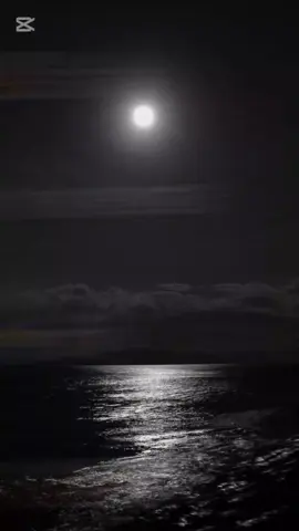 #CapCut #ديري#رايك#ديري#اغاني #mozic_🥤✨ #الجزائر_تونس_المغرب #تصميمي #تصميم_فيديوهات🎶🎤🎬 #تصميم #شاشة_سوداء #شاشة_سوداء #شاشة_سوداء🖤 #تهلاو #اكسبلور #ابوني #طاقيه_طاقيها😁❤️💍 