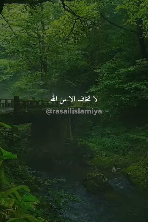 لا تخاف إلّا من الله#أحاديث_دينية #ديني #مسلم #الصلاة #اكسبلور 