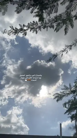ياصباح البرد والجو الجميل  ويا صباح ‏الغيم في جوف السماء.🤎🤎🌥️#
