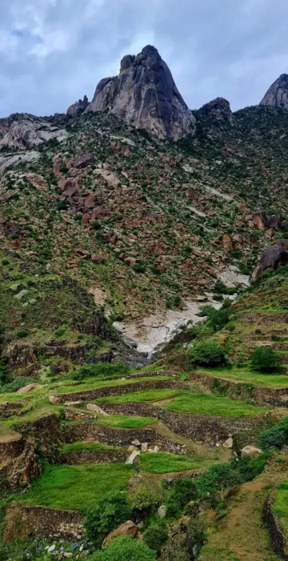 #اكسبلور #اكسبلور #اكسبلور 