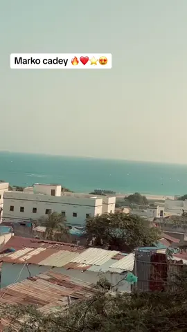 Marko xafadee ugu shidan 💎❤️@Caanka Lumbaardi 