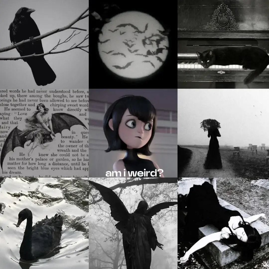 johnny and mavis are so cute i love them :( #hoteltransylvania #core #vibe #aesthetic #couple #Love #pinterest #edits 