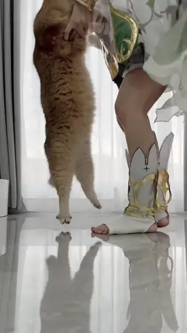 Nahida cute ❤️❤️❤️ #cosplay #nahida #cute #beauty #xh #nahidacosplay #GenshinImpact #xuhuong #cosplayer #irukachan 