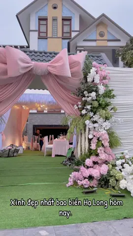 Rực rỡ Hạ Long #toanphuongwedding #decortieccuoihalong #nharapdep #daycamhoa #xuhuongtiktok 