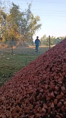 ভিলেন যখন দোলায় শুটিং করে 