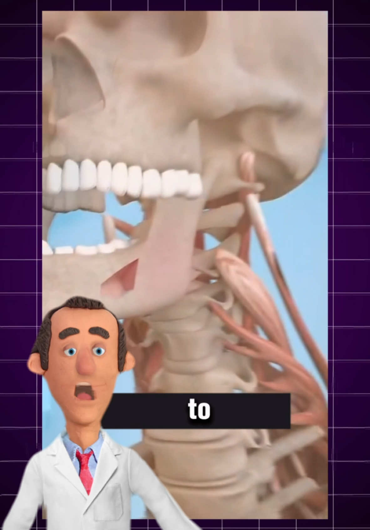 Wesołych świąt wariaty🧠🌲 #ciekawostka #ciekawostki #ciekawe #foryou #foryoupage @ZackDFilms.Official 