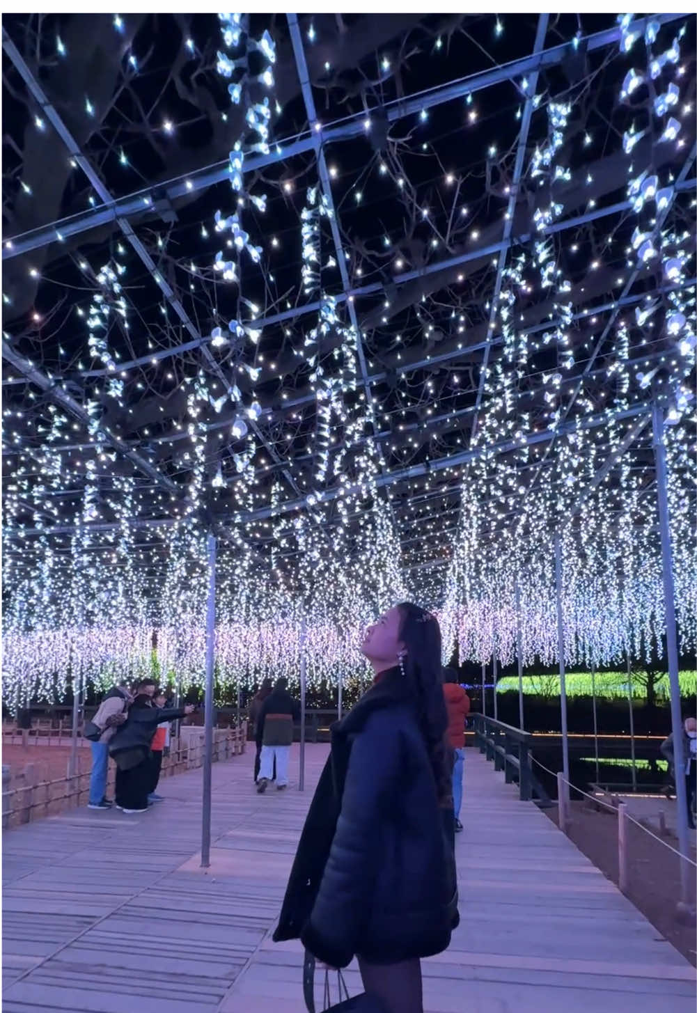 クリスマスイブに足利フラワーパークでデート✨✨ 一面のイルミネーションがまるで夢の世界みたい❤️ #国際カップル #国際結婚 #あしかがフラワーパーク #足利フラワーパークイルミネーション #イルミネーション#星空の下で#星空の下でAGUL #PR #TikTokpresents #ネパール #ネパール🇳🇵日本🇯🇵 #クリスマスデート #クリスマスイブ 