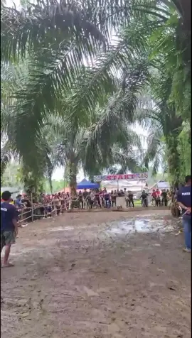 cros sepeda# sungai abang. bismillah h2 💪💪