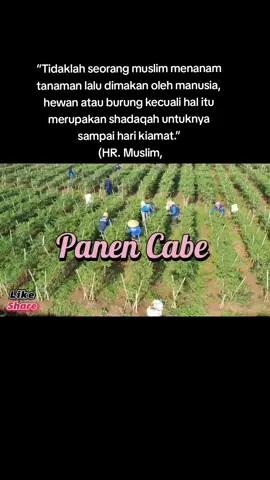 #motivasidirisendiri #motivasihidup #fypシ #petanimuda #petanimodern #petualangan #petaniindonesia🇮🇩🇮🇩🇮🇩🌿🌿 #pejuangkebaikan 