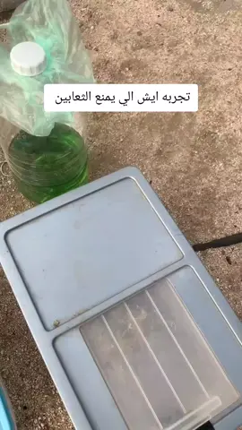 #النوامه #ثعبان #كوبرا #كوبرا🐍 #ثعبان_القبر #ثعبان🐍 #ام_جنيب #اناكوندا #الكوبرا_العربية 