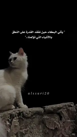 يارب..🥹 #حالات_واتس #بدون_موسيقى  #اناشيد_اسلاميه  #قطة#حزينةtiktokحالات  #الله#يعلم#مانشكووو 