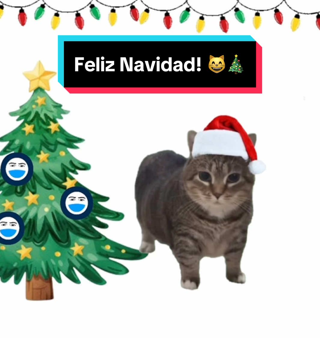 Feliz Navida u i i a d 🗣️🔥 #pokigames #feliznavidad #merrychristmas #xmas #spinningcat #catsoftiktok 