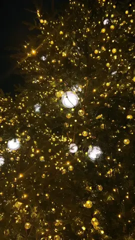 Akhirnya merasakan christmas vibes di Jepang di musim autumn🍁🍂🎄 cuantiikkkk pollll! Semoga damai Natal menyertai kita semuaaa,, Merry Christmas & Happy new year!!  2025 lebihh baik lagi,lebih sehat lagi, lebih cuan lagi, lebih bahagiiaaaa lagiii🧡🥰 #christmas #christmasvibes #japanchristmas #merrychristmas 