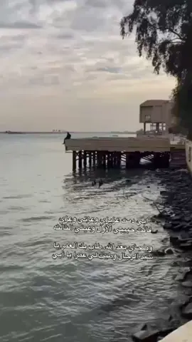 حبيبي الله يخليك النه ✨🤍#احبك 
