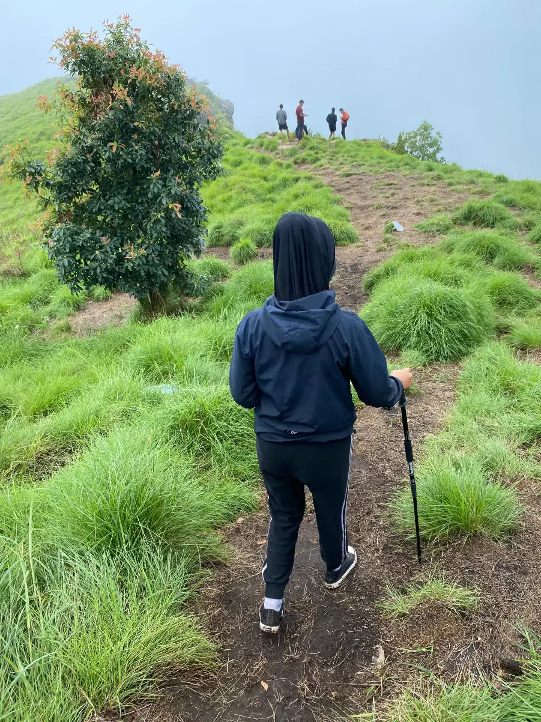 #bukitbatuputri #batuputri505mdpl #fyppppppppppppppppppppppp #naikbukit #lewatberanda 