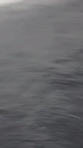 #الكحيله ✈️( قلبي تعلق بحبك والعقل ما نسيك)) ❤️‍🩹#الغزاويه #دارتعزه #)) #سراقب_معرة_النعمان_خان_شيخون #دمشق_حلب_حمص_حماة_طرطوس_الاذقية 