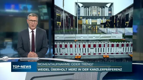 AFD - #aliceweidel -auslander RAUS - Deutsch Bundestag -remigration 