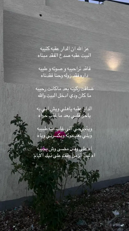 ‏وعن فقدك '' فقدتك فقداً لايشفيه دهر ‏وظمأ لايرويه كل ماعلى الأرض من ماء.