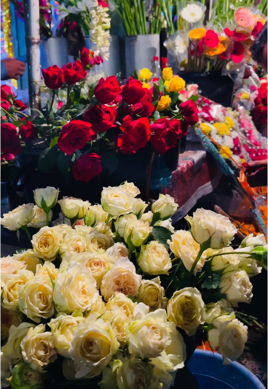 #mdshakibn87 ফুল নিবে নাকি আমাকে নিবে? 🥹😐 #rajshahi #flower #flowers #unfreezemyacount #unfreezemyacount #foryoupageofficially #foryoupageofficially #foryoupageofficially #foryoupag #foryoupag #fyp #viral 