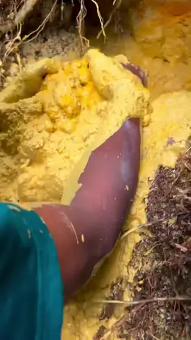 mining gold with simple tools in the forests of Sumatra. #foryoupage #viralvideo 