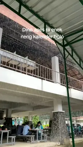 wes angel #buruhpabrikboyolali #kulipabrikboyolali #ptpanbrothersboyolali 