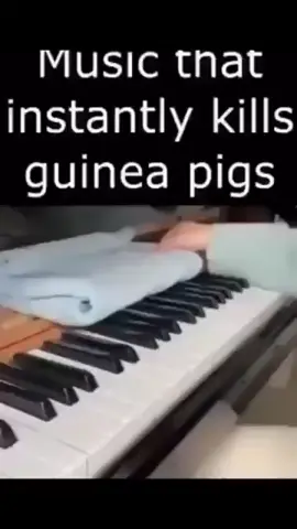 #Meme #Lobotomy #Brainrot #Piano #h #Music #That #Instantly #Kills #GuineaPigs @Shinjiyoursocoool @Draco @EddyElric @Rinnyひ @🛹 jaiden!! 💭🏝️
