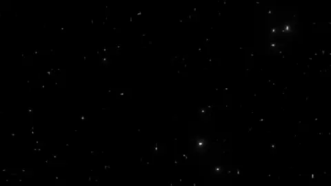 عود يحبني#explore #foryou 