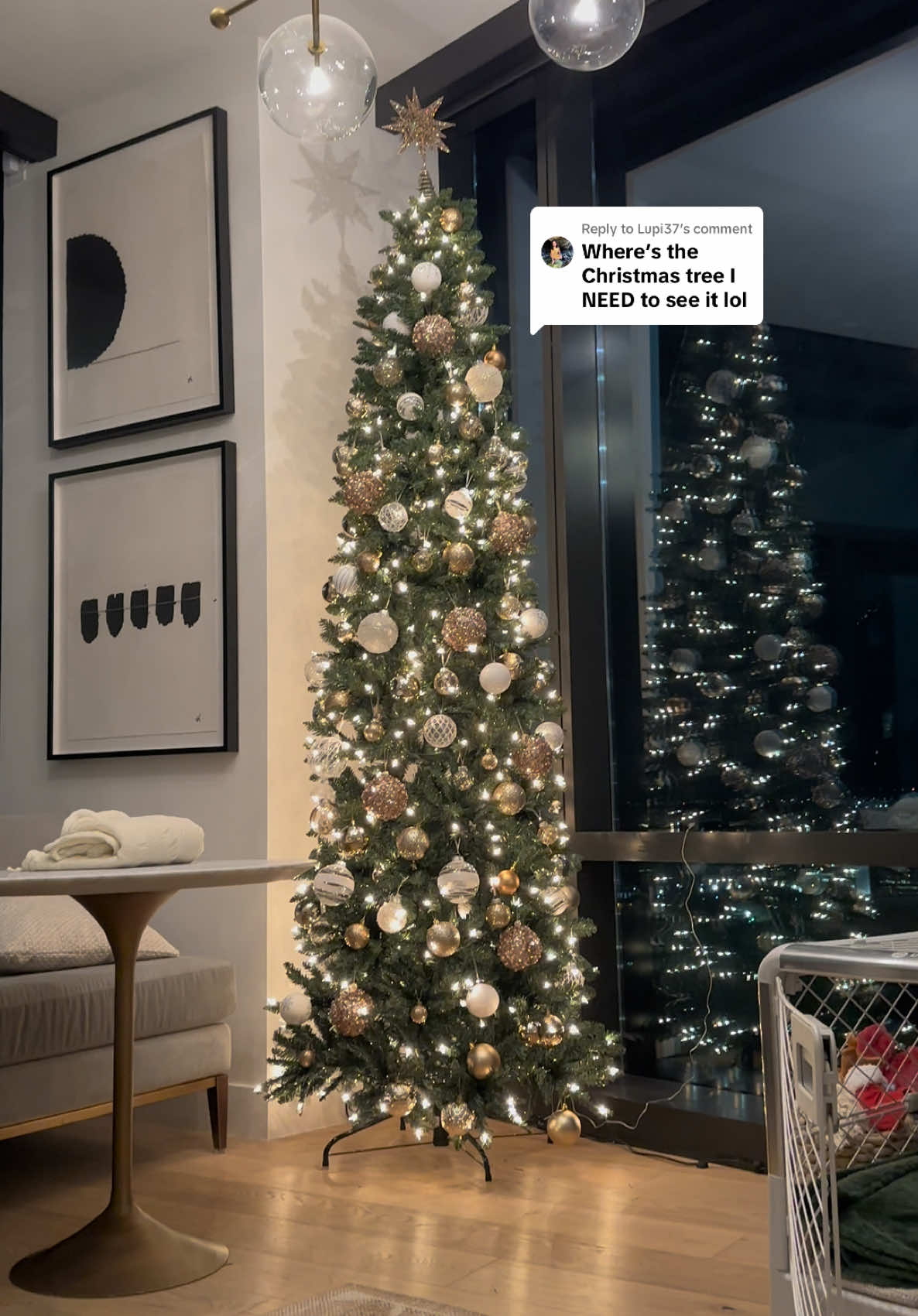 Replying to @Lupi37 Omg I thought you would never ask🤭 Shes such a beauty!🤍🌲✨