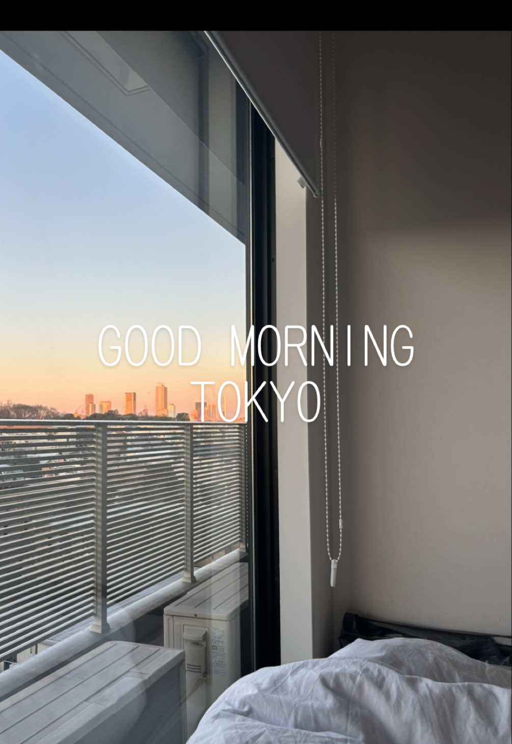 good morning tokyo #tokyo #views #japan 