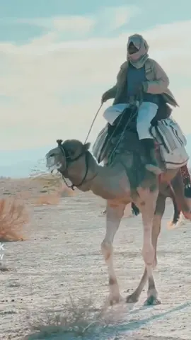 من ارشيف النجع كلمات والحان علي الكيلاني اداء المرحوم اشرف محفوظ  رفيقي مشا نص الطريق وولى رقاق المسالك زينوله الذلة خوبر وفات رفيقه ومن العقد طاحت في الزحام عقيقة لو كان ما حكمة الناس حقيقة يقولوا كفانا شر من نحسن له ولو كان ما كبدي عليه رقيقة قلب يتفكر فيه تو انسله ولى مشوب حرن لين عيا من عليه يهوب عيونه اتراقص وين قتله صوب يكذب زناده ونا اللي نقتله ونسيت قدحته دخان تم ايثوب و ايفيد لقدام قلـت انقله ردت رفيقي  نص  ما يتبوب ردي لعازكم فيه لا حوللة رجـع خـادعـنـي عطيته ذراعي جض ما ذارعني عطاني اكتوفــه رد ما ودعني عليا ايتفرج و بشقاي يسلى امنـيـنـه بري و نـقـوله و يسـمعني منحته شـرف فـي الحلم مـا يوصله ميـت ضميـره و نـا الضميـر منعنـي كيف ما غزلي عـالـعـجل نـفـتله https://youtu.be/oJYaavptr0s#افتقدك_كثيراً💔 #النجف_الاشرف #الشاعر_علي_الكيلاني💚 