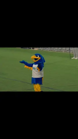 🕺 🕺🕺                                                                      #gust #كاس_الخليج #الكويت🇰🇼 #الامارات 