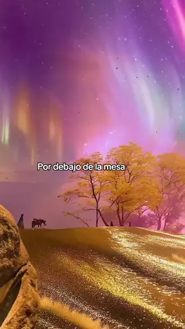 Es que no sabes lo que tu me haces sentir #luismiguel #pordebajodelamesa #musica #romantica #delrecuerdo #paradedicar #pararecordar #consentimiento #scenery #nature #longervideo #paisajes_hermosos #paisajesnaturales #pyf #viral_video #fyp 