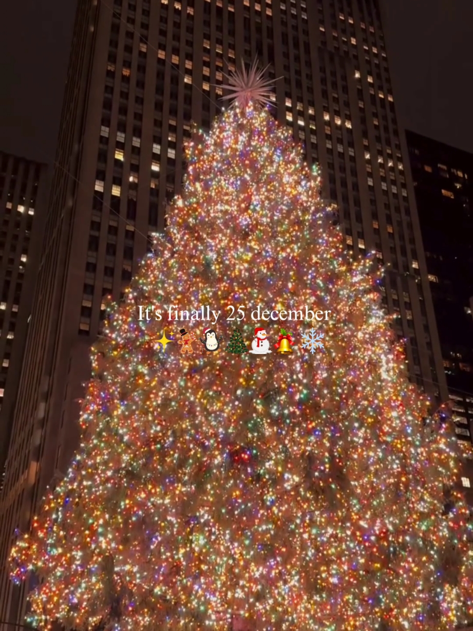 it's finally 25 december #christmas #christmas2024 #christmaseve #christmascountdown #christmasdecor #christmasgift #christmas2024 #tik_tok #foru #fyp 