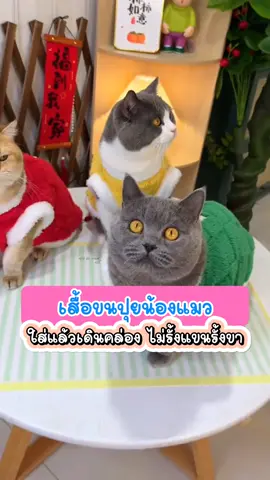 เสื้อผ้าสัตว์เลี้ยง นุ่มนิ่ม ใส่สบาย ไม่รั่งแขนขา #เสื้อกั๊กแมว #เสื้อแมว #เสื้อผ้าแมว #เสื้อแมวน่ารัก #เสื้อแมวราคาถูก #ของใช้แมว 