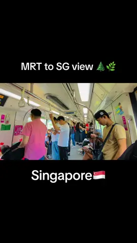 sg✅🇸🇬#foryou #fypシ #viral #singapore 