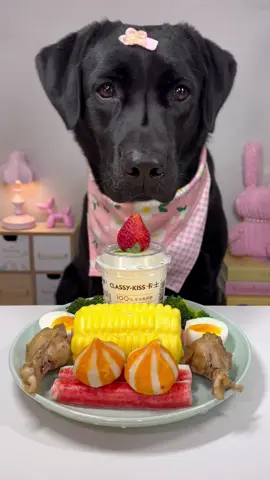 #labrador #cute #dog #pet #feed 